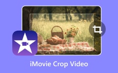 Imovie Crop Video
