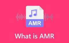 What is AMR