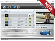 dvd ripper