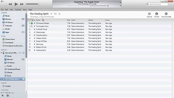 Transfer music with iTunes