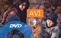 Convert DVD to AVI with DVD Ripper