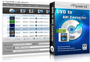 DVD to AVI Converter Screen