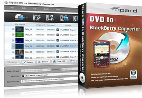 DVD to BlackBerry Converter Screen