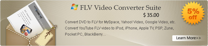 flv video converter suite