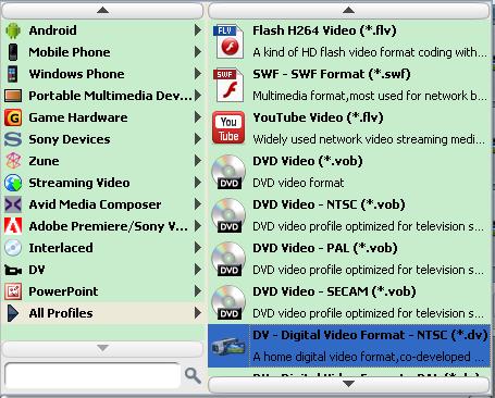 Convert FLV to DV