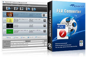FLV Converter Screen