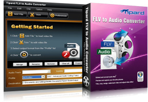 FLV to Audio Converter Screen