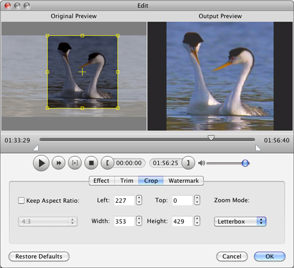 Crop any video
