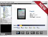 iPad 2 Transfer Platinum Screen