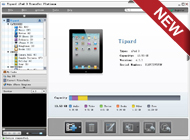 iPad 3 Transfer Platinum Screen