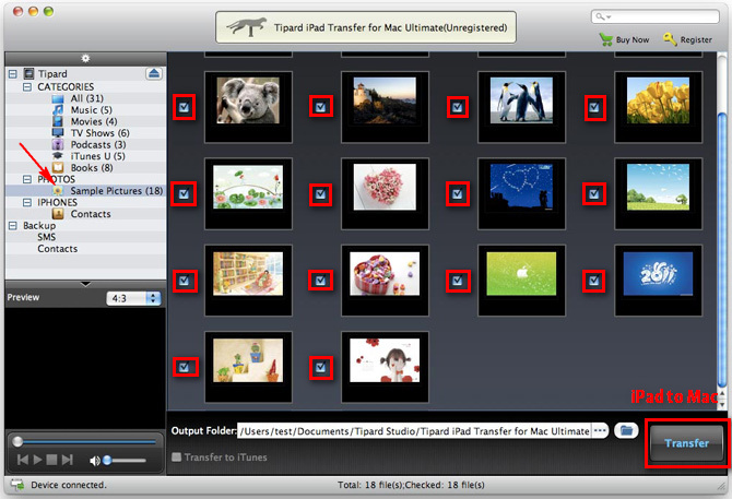 Transfer iPhone Pictures or Camera Rolls