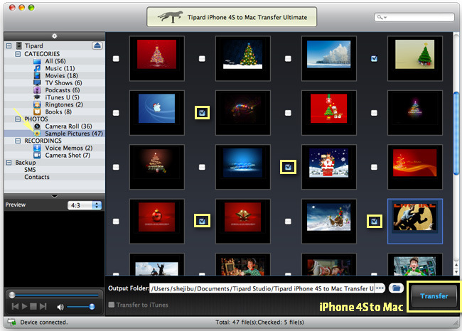 Transfer iPhone Pictures or Camera Rolls