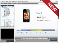 iphone 4g to pc transfer