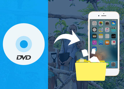Convert DVD to iPhone supported files