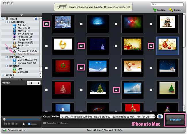 Transfer iPhone Pictures or Camera Rolls