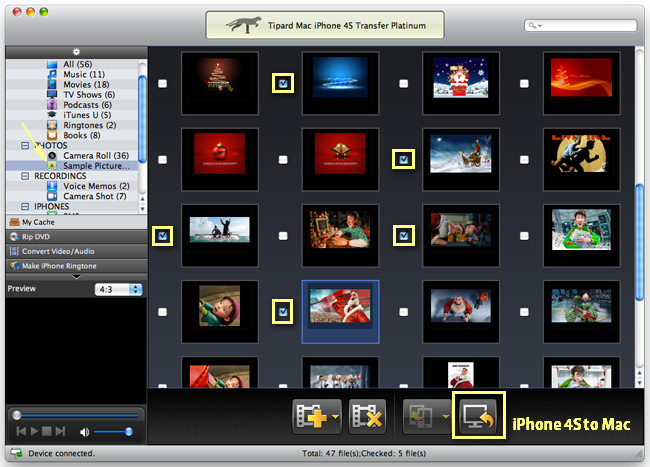 Transfer iPhone Pictures or Camera Rolls