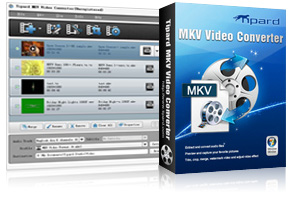 MKV Video Converter Screen