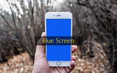 Fix iPhone Blue Screen 