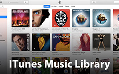 Rebuild iTunes Library