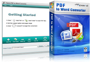 PDF to Word Converter Screen