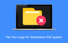 file too Large Destination File System
