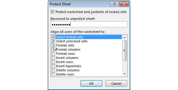 Set Password to Worksheet