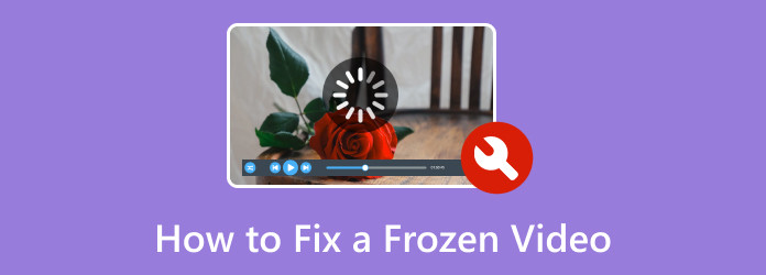 Fix Frozen Video