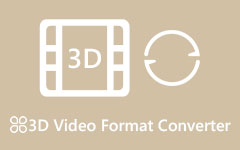 3D Video Format Converter
