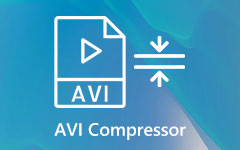 AVI Compressor