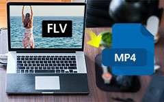 FLV to MP4 for Mac