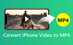Convert iPhone MOV to MP4