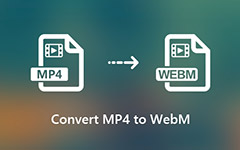 Convert MP4 to WebM