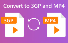 Convert 3GP to MP4
