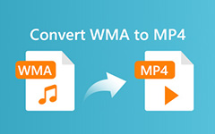 Convert WMA To MP4