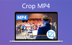 Crop MP4 Video