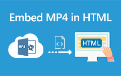 Embed MP4 In HTML