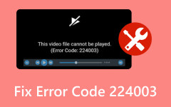 Fix Erroor Video 224003