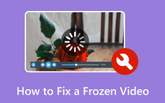 Fix Frozen Video