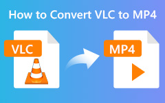 How to Convert VLC Files to MP4