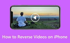 How to Reverse Videos iPhone