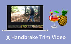 Hwo to Use Handbrake Trim Video