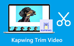 How to Use Kapwing Trim Videos