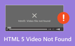 HTML 5 Video Not Found