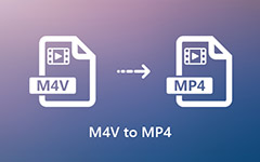 Convert M4V to MP4