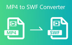 MP4 to SWF Converters