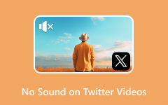 No Sound on Twitter Videos Repair