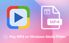 Play MP4 in Windows Media Player