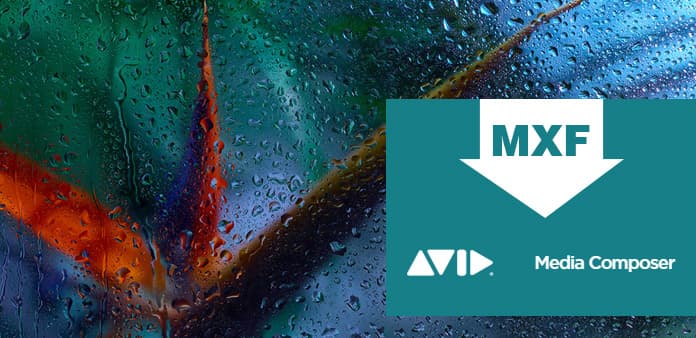 Convert MXF/P2 MXF to Avid Media Composer