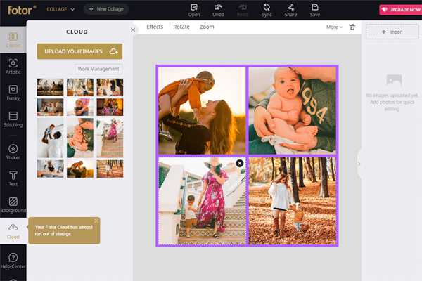 Fotor photo and video collage maker