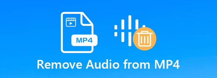Remove audio from MP4